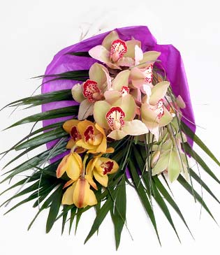  Kahramanmara nternetten iek siparii  1 adet dal orkide buket halinde sunulmakta