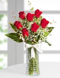 Cam vazoda 7 adet kırmızı gül  Kahramanmaraş 14 şubat sevgililer günü çiçek 